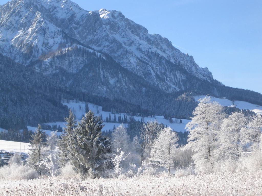 Gaestehaus Fahringer Walchsee Buitenkant foto