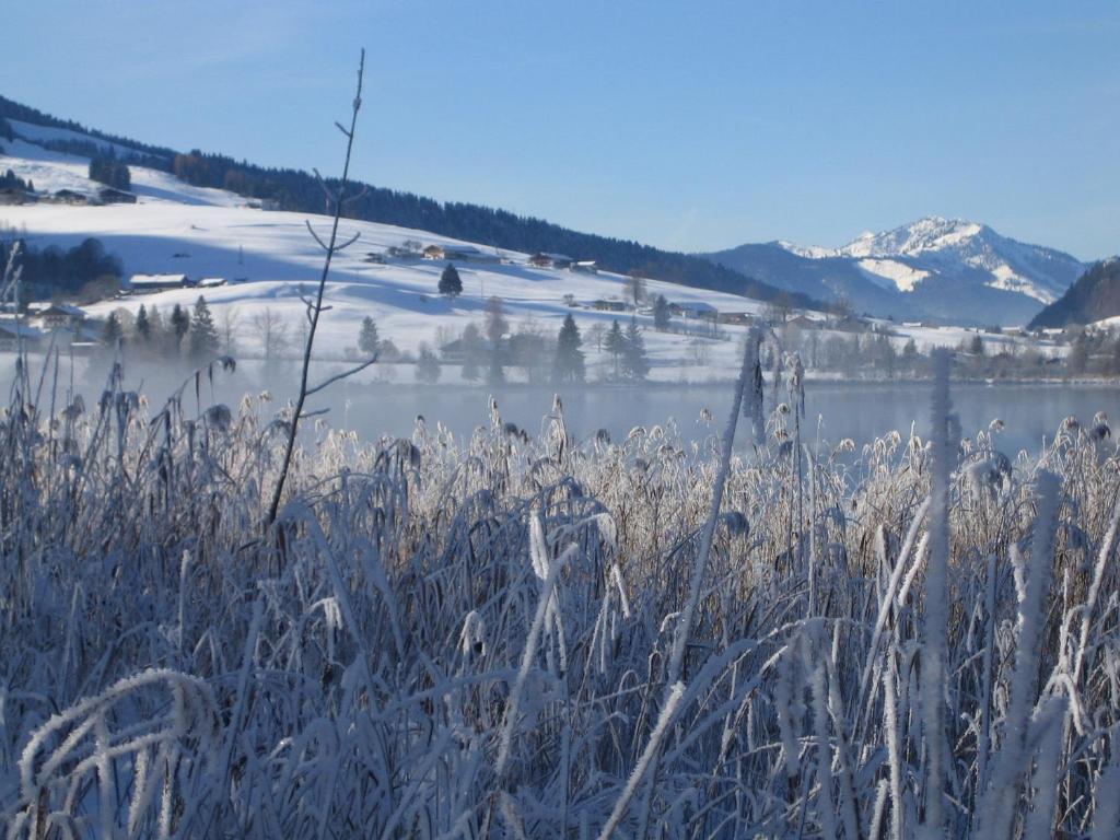 Gaestehaus Fahringer Walchsee Buitenkant foto